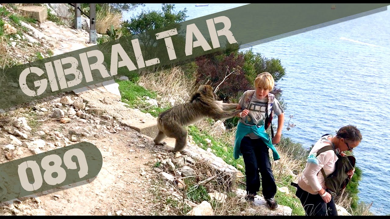 Rock of Gibraltar Top Visitor Attractions for Active Families. Beware Monkey Attack! 089