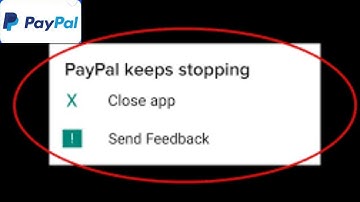 PayPal App Keeps Stopping Problem Solutions Android & iOS Phones