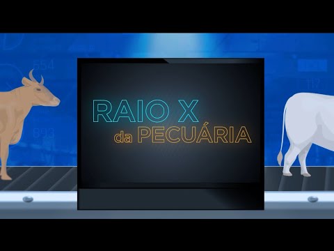 Carne baixo carbono: protocolos reduzem emissão de gás de efeito estufa em até 15% | Canal Rural