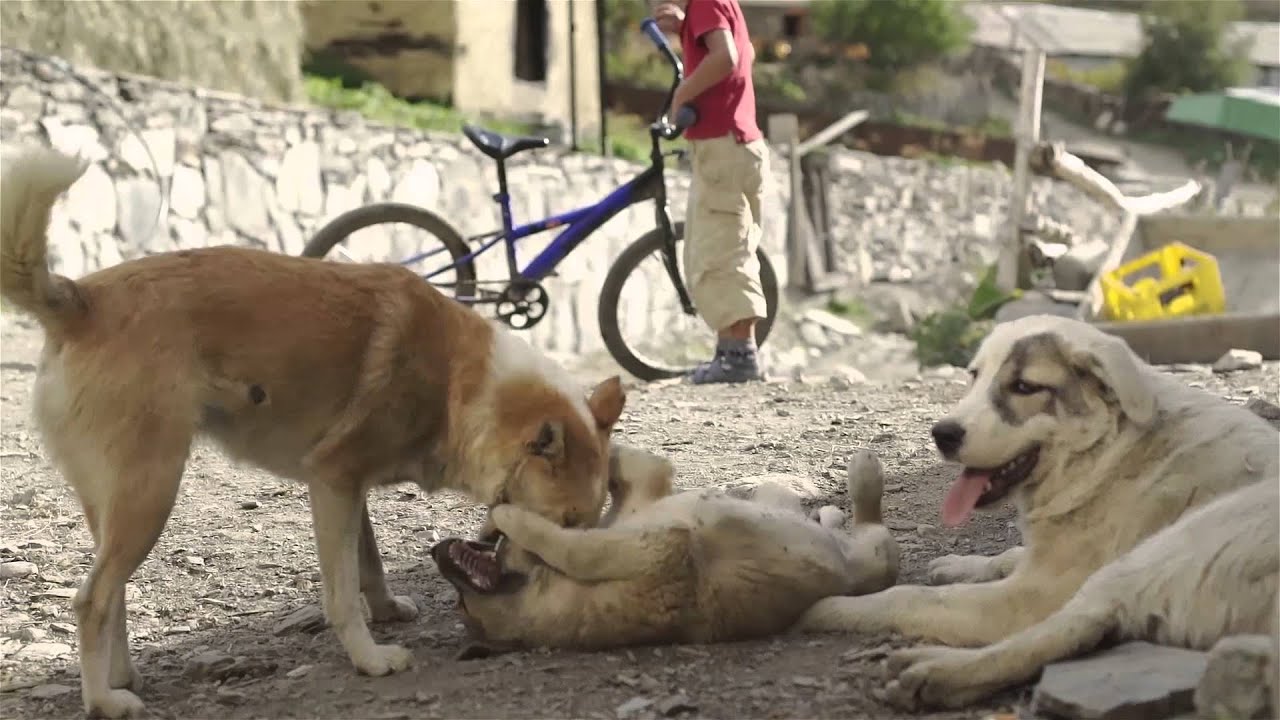 HIMountain Georgia 2015