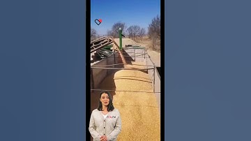 #fcnfm #machine Effortlessly Enhance Your Grains