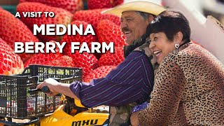 Growing Berries in California: An Inside Look with Medina Berry Farms