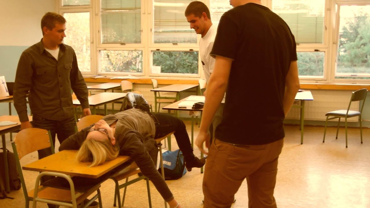 Stužková SPŠE NZ 2013 - Hodina slovenčiny 4.AP