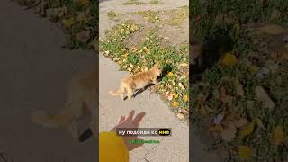 хочу поесть