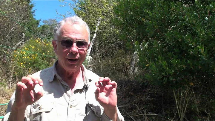 Permaculture Design at the Regenerative Design Institute