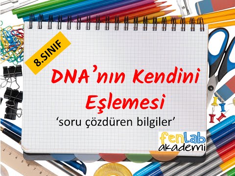 8.sınıf DNA'nın kendini eşlemesi | soru çözdüren bilgiler