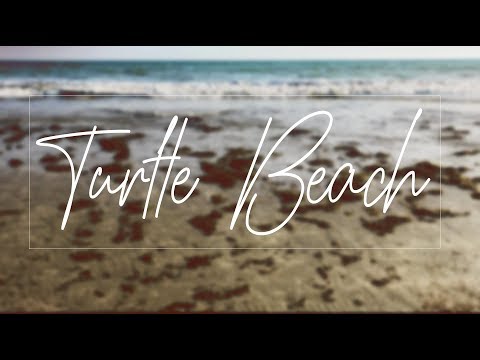 Turtle Beach | Pakistan | Travelogue