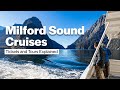 How to explore milford sound  new zealands best cruise experience