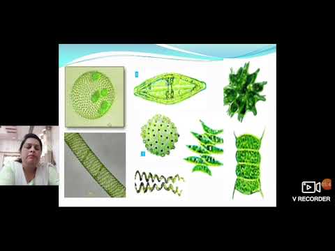 Hydrobiology and its importance