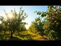 Study Like a Machine  Instrumental Focus Soundscape