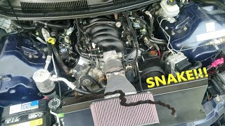 Detailing under the hood of my Trans Am... Part 2