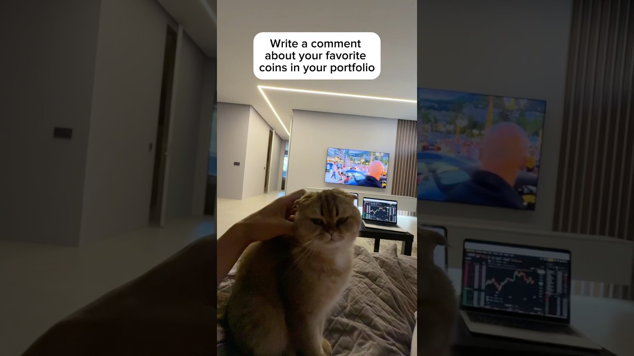 My crypto bag: the coins I’m stacking now! 👜 