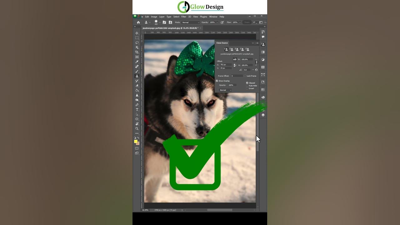 How to open closed eyes in your pet image photoshop shorts youtube