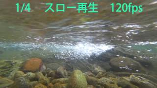 ima     Komomo SF-95 Slim     スイム映像　スロー再生有り