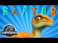 Raptor rap  new dinosaur song  jurassic world  kids action show  music cartoons