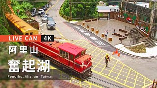 Taiwan Alishan (Ali Mountain) Fenqihu 4K Live Camera 