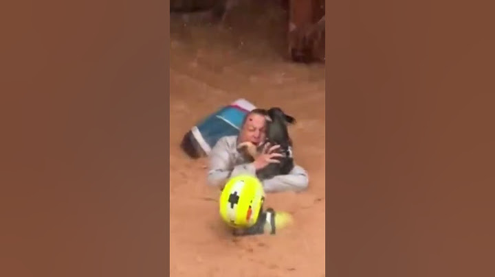 Rescatan a una mujer con sus mascotas de su casa en Utiel inundada por la dana
