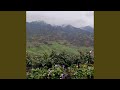 怪物之歌 超燃版 怪物之歌 超燃版