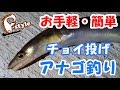 お手軽簡単アナゴ釣り♪煮穴子にしたら美味すぎた!