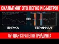 ЛУЧШАЯ РАБОЧАЯ СТРАТЕГИЯ СКАЛЬПИНГА 2026. Пошагово на Bybit + Tiger | Трейдинг с нуля