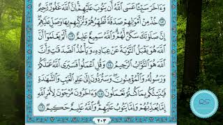 Surah Tawbah|| Ayah 100-106|| Page 203|| Uthmani Mushaf|| Madani Mushaf