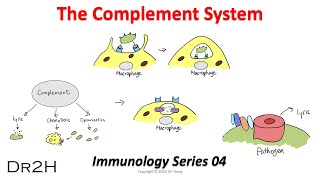 Dr. Hong's Immunology Lecture 04: The Complement System