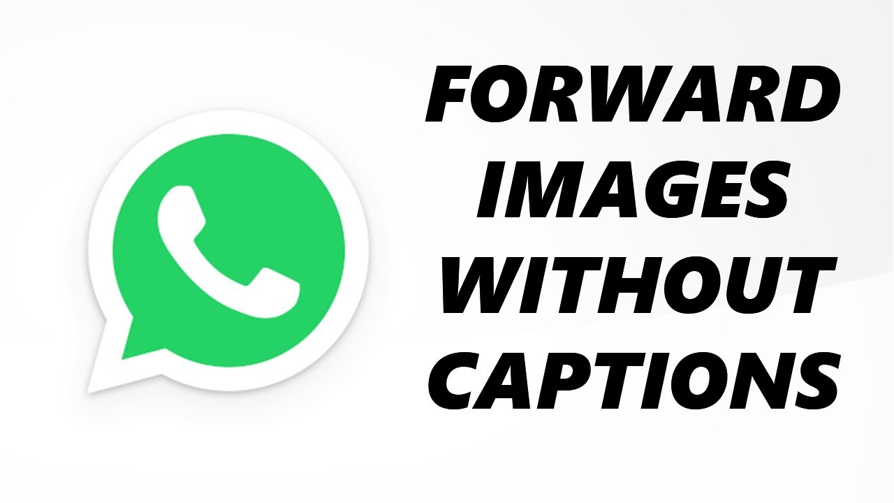 How To Forward Photos And Videos Without Caption In WhatsApp YouTube how-to-forward-photos-and-videos-without-caption-in-whatsapp-youtube