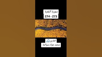 سورة البقرة271-274: القارئ/محمد جواد سوالمة