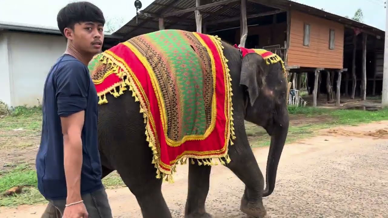 แก้วตามางานวันเกิดพี่น้ำฝนจ้า