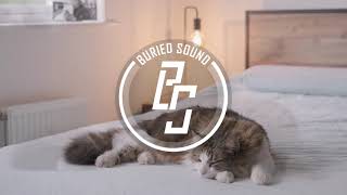 N3dek - I Can't Escape ║► Electro