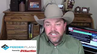 Feeder Flash 12/18:  Feedlot Sales Volume Light