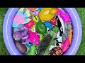 Sea Animals Play &amp; Learn Adventure | Fun Facts &amp; Learning for Toddlers!