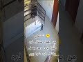 تستهلي من يعمل مثقال ذره خيرا يرى ومن يعمل مثقال ذره شرا يرى Saidan Aoun 