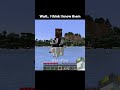 I think I know them #minecraft #usa
