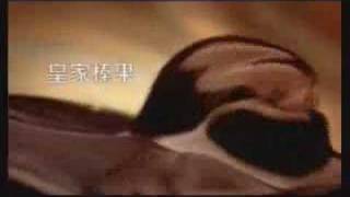 Ferrero Rocher Venice TVC 90\