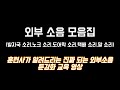 진짜 되는 강아지 외부소음 둔감화 영상 외부소음 모음 진짜 되는 강아지 외부소음 둔감화 영상 외부소음 모음