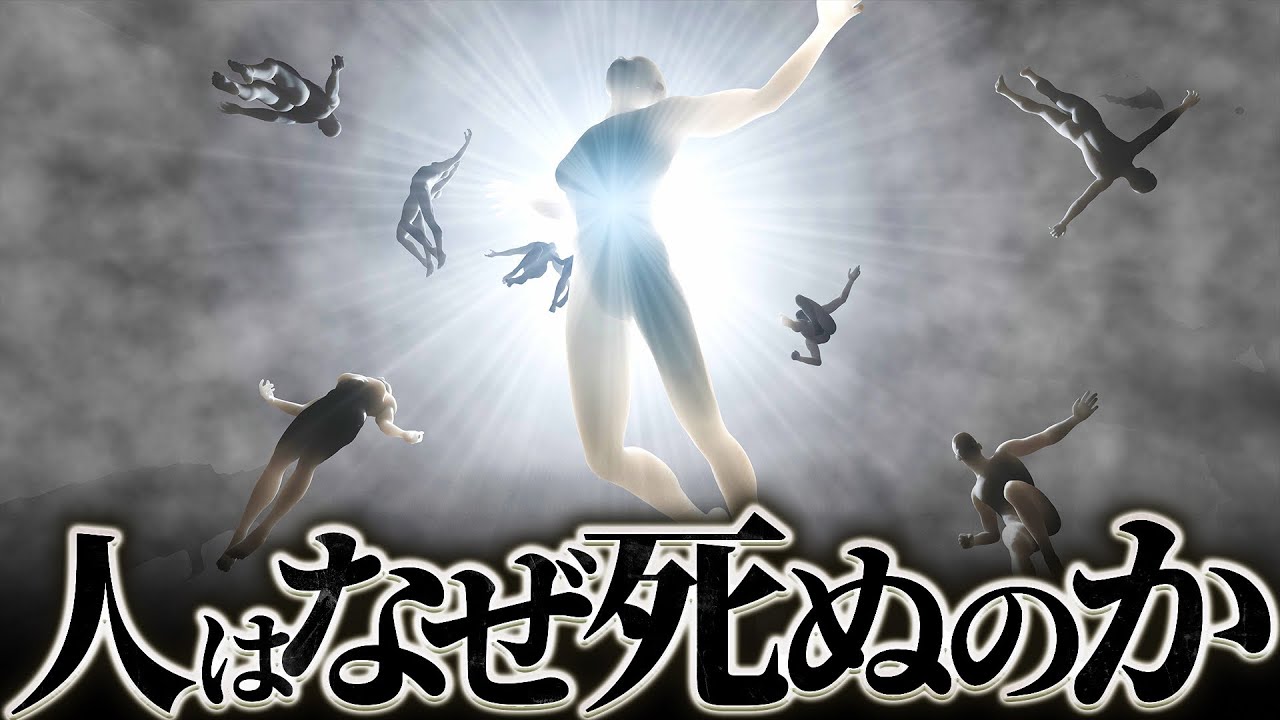 【運命】人はなぜ死ぬのか？