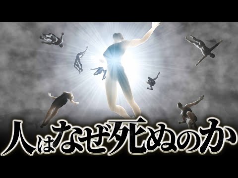 【運命】人はなぜ死ぬのか？