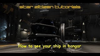 How to see your ship in the hangar