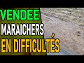 Maraichage en vendee  sables dolonne cest catastrophique 