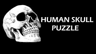 HUMAN SKULL PUZZLE!