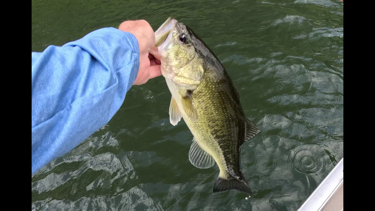 Freshwater Fishing South Jersey, Bass and Pickerel