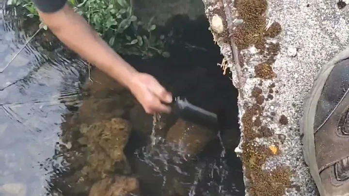 Guy Aggressively Pulls Bottle out of Creek