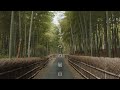 京都の穴場スポット⑨ : 【Another Bamboo Path】A secret spot in Kyoto（Kyoto, Japan）