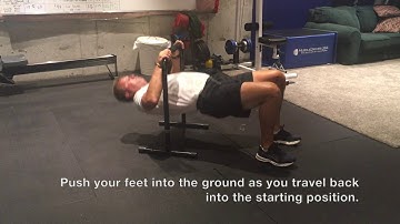 Equalizer One Bar Inverted Row