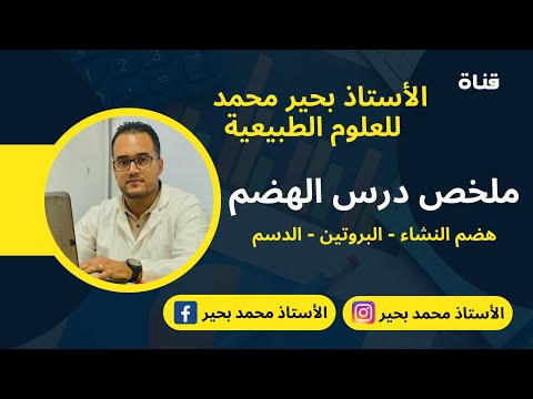 الدرس 6 ملخص هضم الأغذية النشاء البروتين الدسم