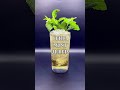 Make a Mint Julep