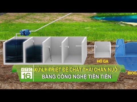 Video: Thời hạn nộp thuế vận tải của cá nhân, pháp nhân