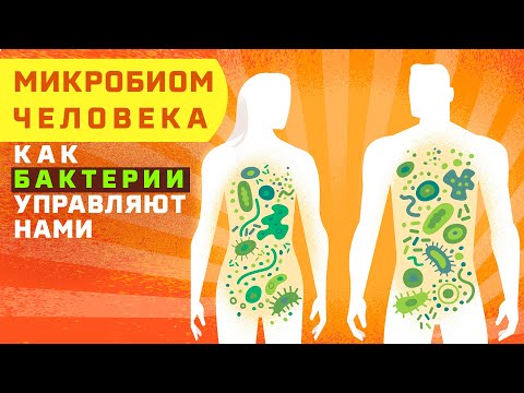 Видео: Какво е бактериологията в микробиологията?