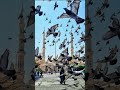 #allah #muhammad #allahmuhammad #love #islamicvideo #beautiful #subscribe #islamicconference